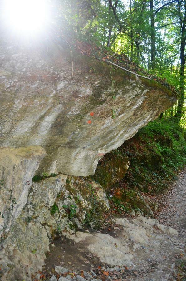 Le Gite Des Mousquetaires Lanne-en-Baretous Exterior foto